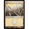 Plains
