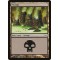 Swamp