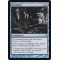 Xenograft