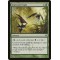 Corrosive Gale
