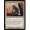 Mystic Crusader