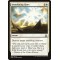 Immolating Glare
