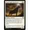 Totem-Guide Hartebeest
