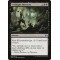 Eyeblight Massacre