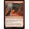 Magmatic Insight