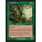 Wall of Roots