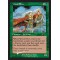 Wood Elves
