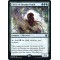 Circle of Dreams Druid