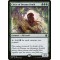 Circle of Dreams Druid