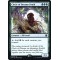 Circle of Dreams Druid