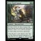 Keen-Eyed Curator