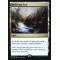 Reflecting Pool