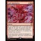 Soul Immolation