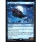 The Lunar Whale