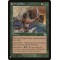Grizzly Fate