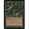 Willow Dryad