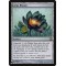 Lotus Bloom