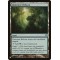 Llanowar Reborn