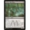 Will-o'-the-Wisp