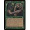 Hermit Druid