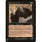 Divining Witch