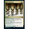 Rite of Harmony