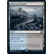 Shipwreck Marsh