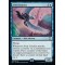 Aven Courier
