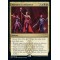 Maestros Confluence