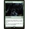 Cryptolith Rite