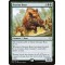 Nessian Boar