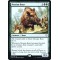 Nessian Boar