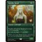 Paradise Druid