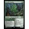 Bramble Familiar // Fetch Quest