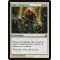 Light of Sanction