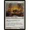 Votary of the Conclave