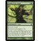 Moldervine Cloak