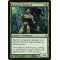Nullmage Shepherd