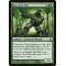 Root-Kin Ally