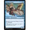 Kitesail Corsair