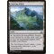 Evolving Wilds
