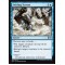 Swirling Torrent