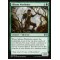 Silhana Wayfinder