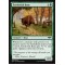 Territorial Boar