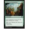 Wilderness Reclamation