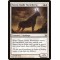 Totem-Guide Hartebeest
