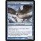 Frostwind Invoker