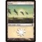 Plains