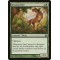 Brushstrider