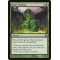 Slime Molding